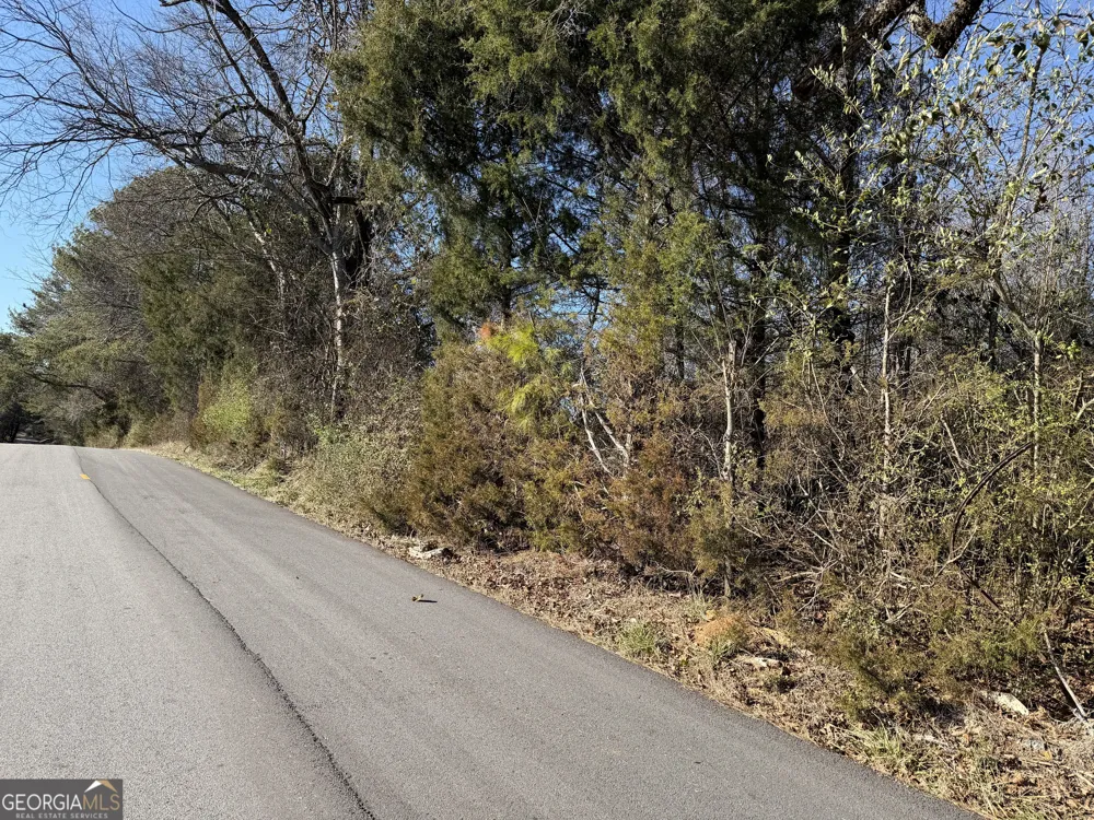 0 Liberty Church RD Ranger, GA 30734