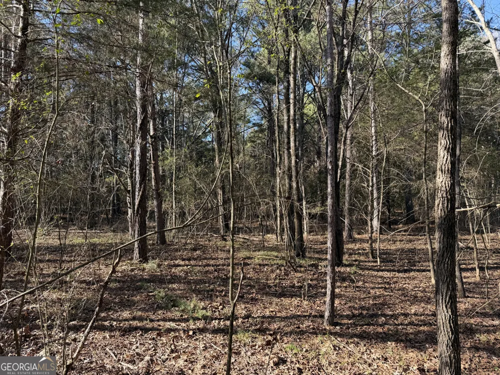0 Liberty Church RD Ranger, GA 30734