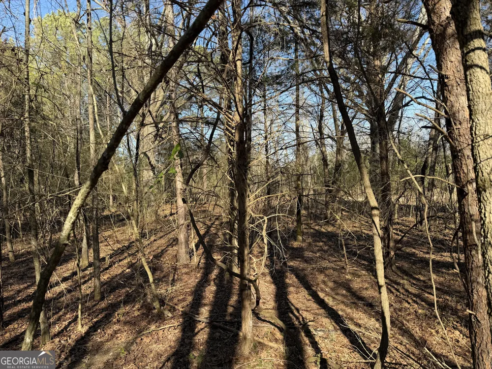 0 Liberty Church RD Ranger, GA 30734