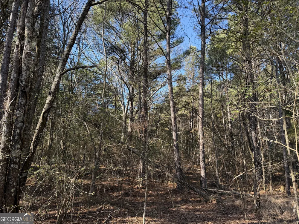 0 Liberty Church RD Ranger, GA 30734