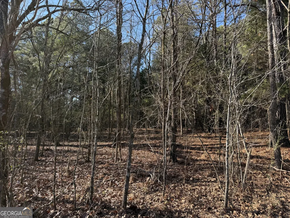 0 Liberty Church RD Ranger, GA 30734