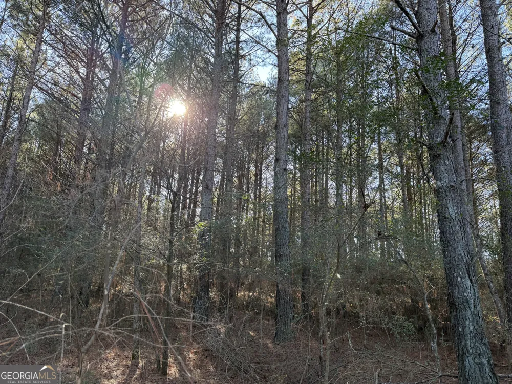 0 Liberty Church RD Ranger, GA 30734