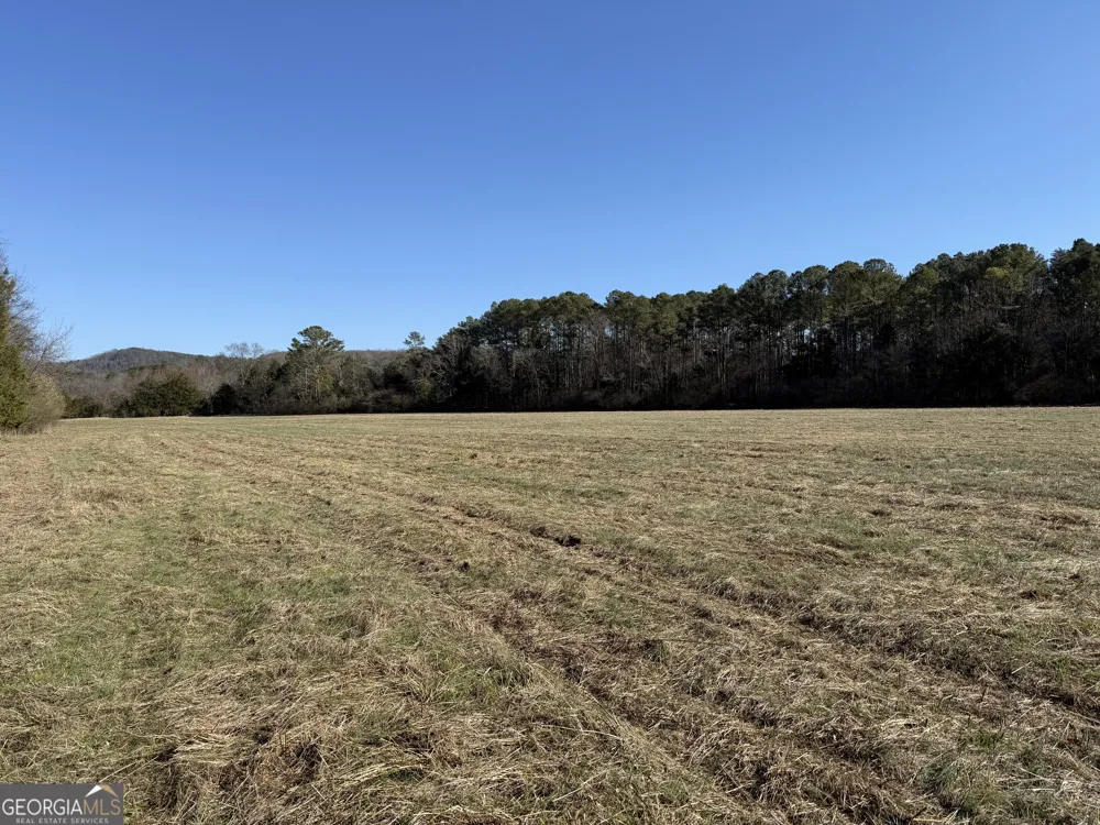 0 Liberty Church RD Ranger, GA 30734