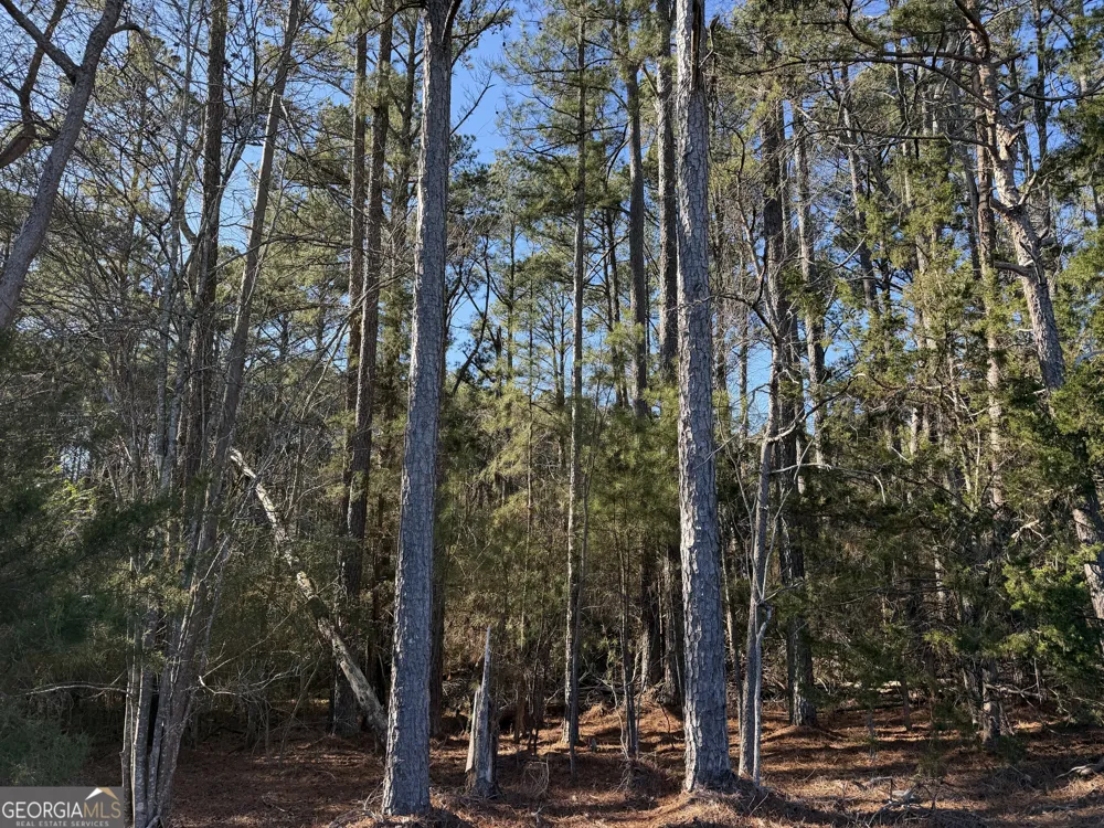 0 Liberty Church RD Ranger, GA 30734
