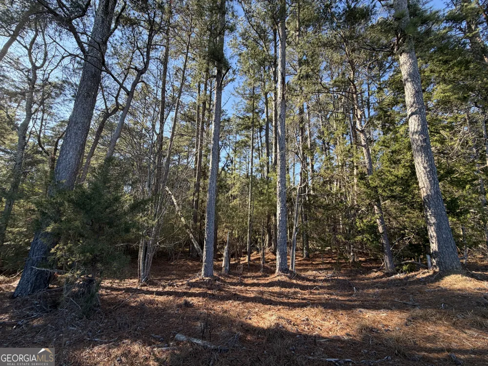 0 Liberty Church RD Ranger, GA 30734