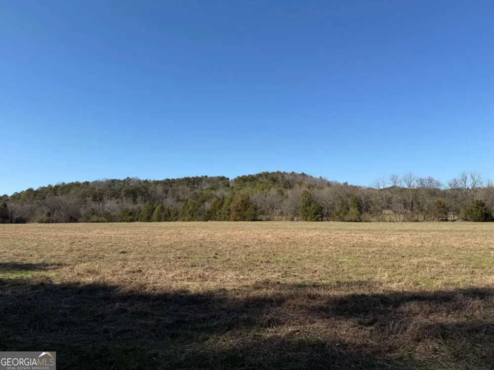 0 Liberty Church RD Ranger, GA 30734