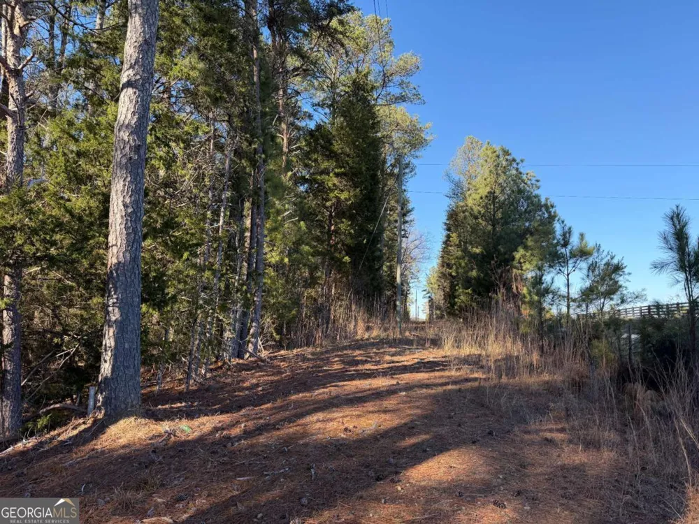 0 Liberty Church RD Ranger, GA 30734
