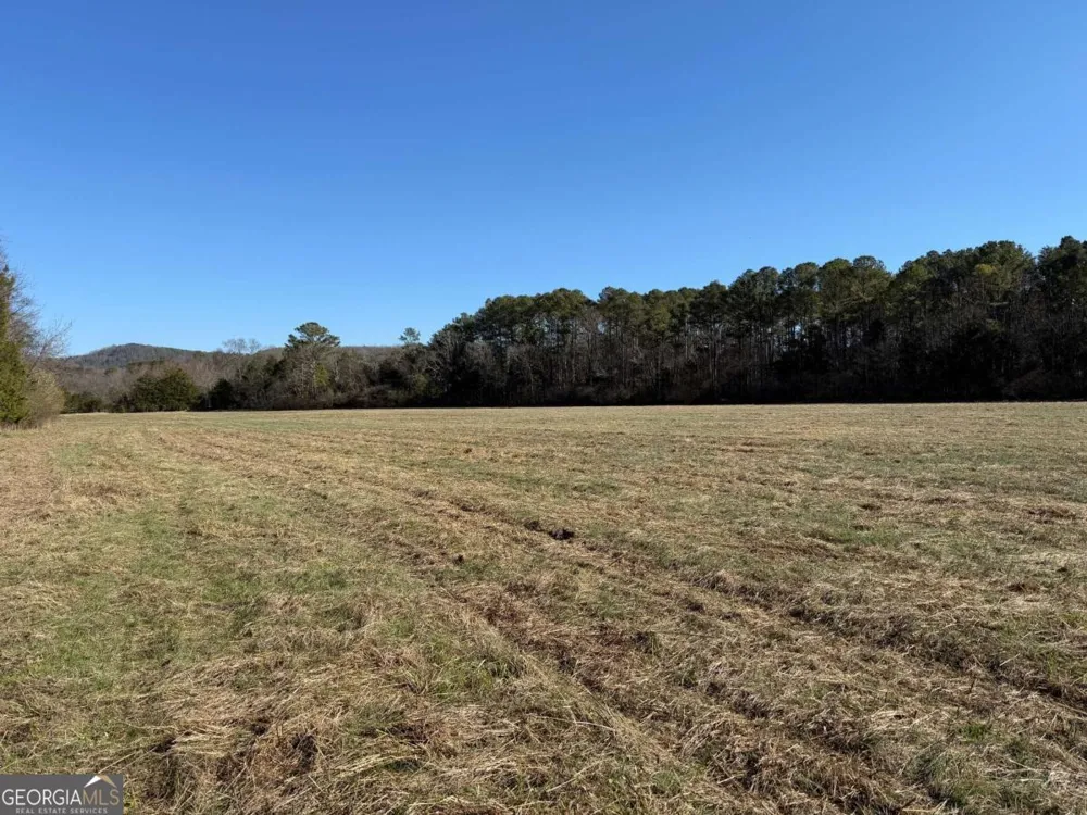 0 Liberty Church RD Ranger, GA 30734