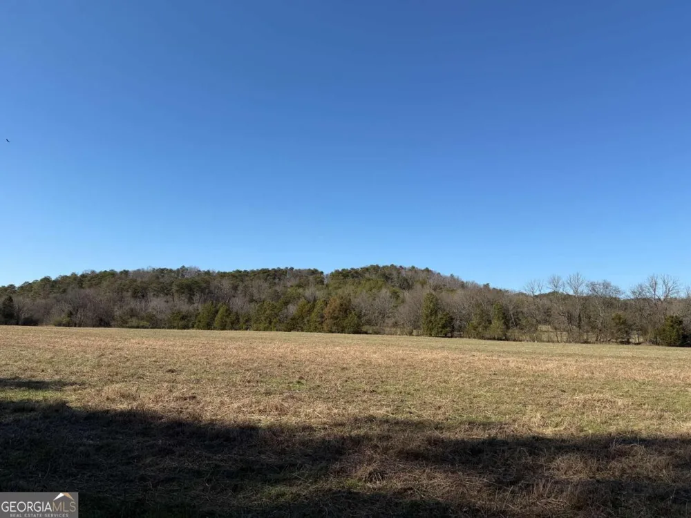 0 Liberty Church RD Ranger, GA 30734