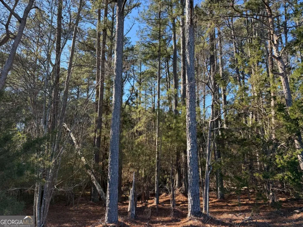0 Liberty Church RD Ranger, GA 30734
