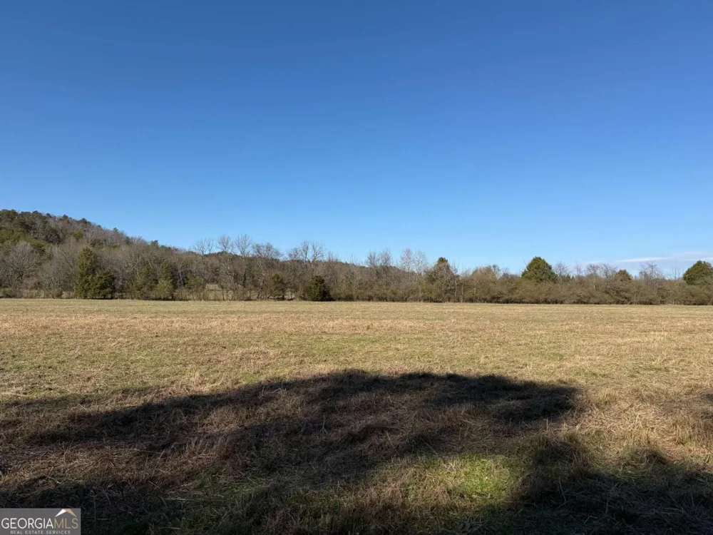 0 Liberty Church RD Ranger, GA 30734