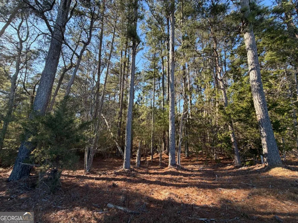 0 Liberty Church RD Ranger, GA 30734