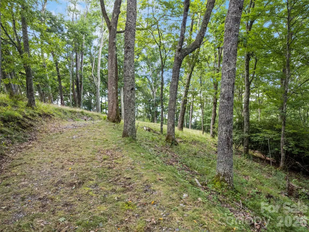 000 Wagon Trail Road Maggie Valley, NC 28751