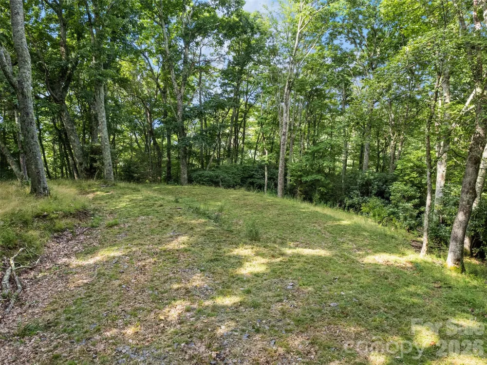 000 Wagon Trail Road Maggie Valley, NC 28751