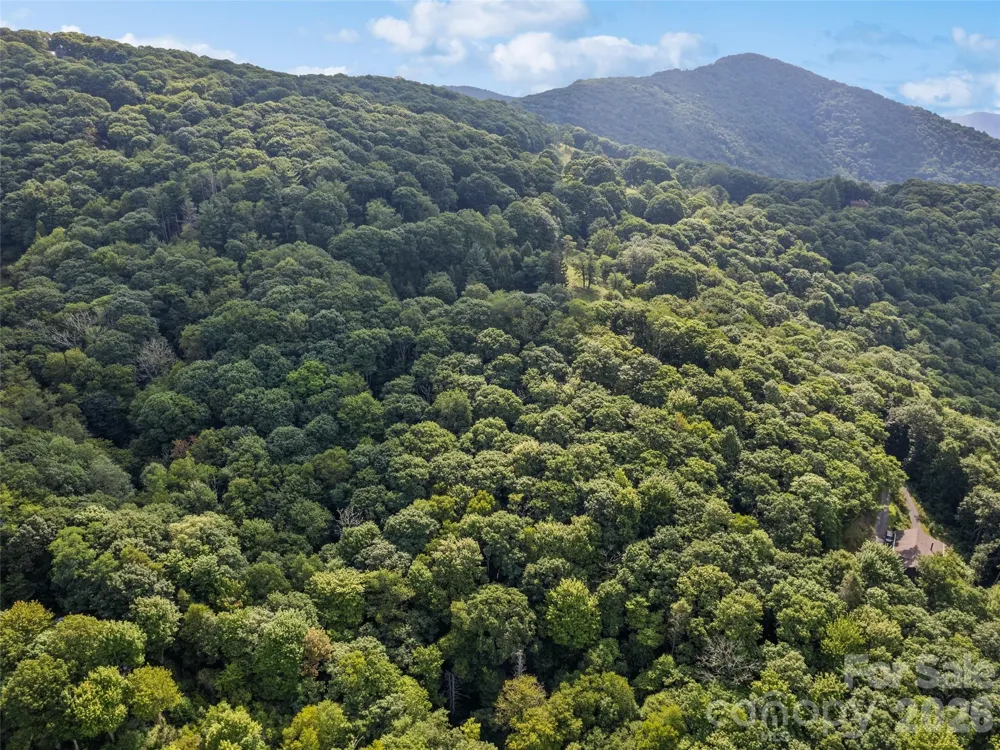 000 Wagon Trail Road Maggie Valley, NC 28751