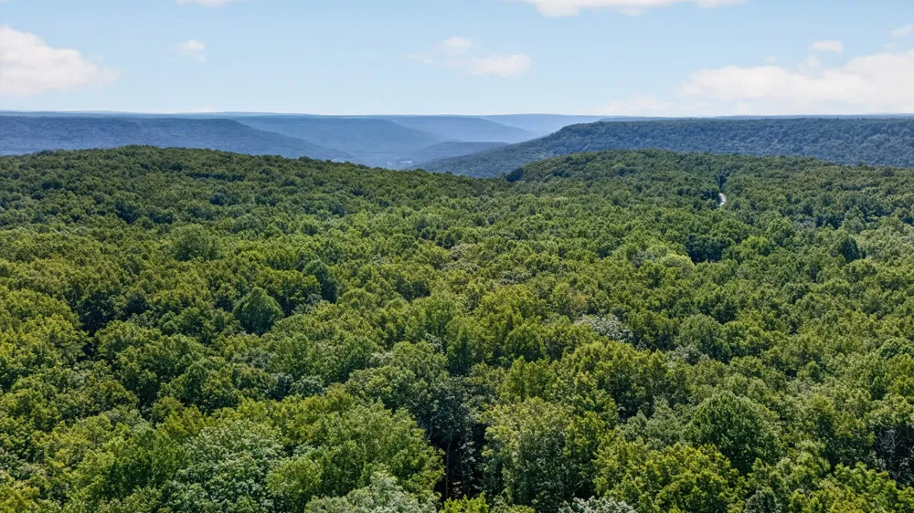 2403 Sarvisberry Dr Monteagle, TN 37356