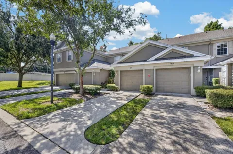 9831 BLUE PALM WAY