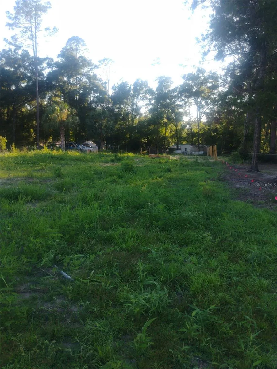 587 MARSHBURN DRIVE Bronson, FL 32621