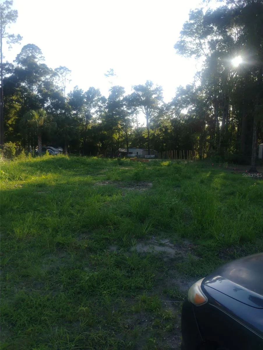 587 MARSHBURN DRIVE Bronson, FL 32621