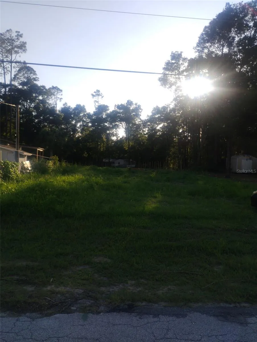587 MARSHBURN DRIVE Bronson, FL 32621