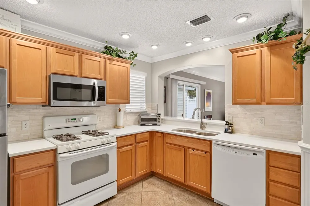449 LAYTON TERRACE The Villages, FL 32162