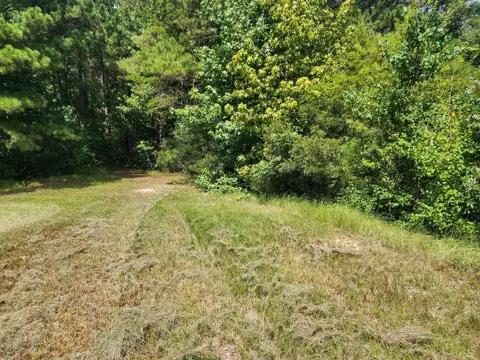 216 Private Road 6046