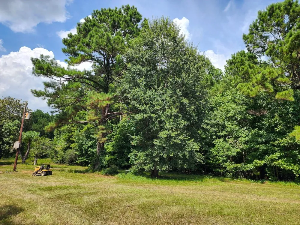 216 Private Road 6046 Burkeville, TX 75932