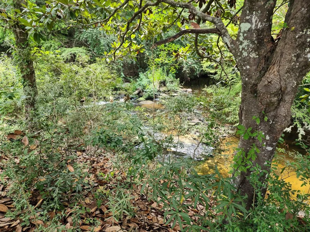 216 Private Road 6046 Burkeville, TX 75932