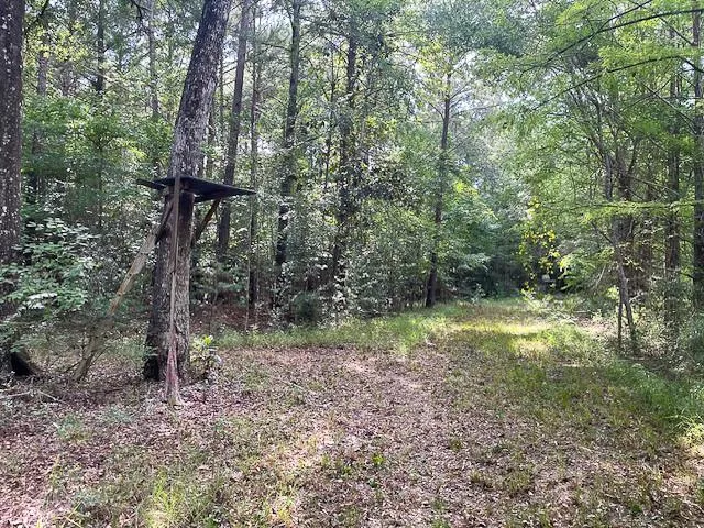 216 Private Road 6046 Burkeville, TX 75932
