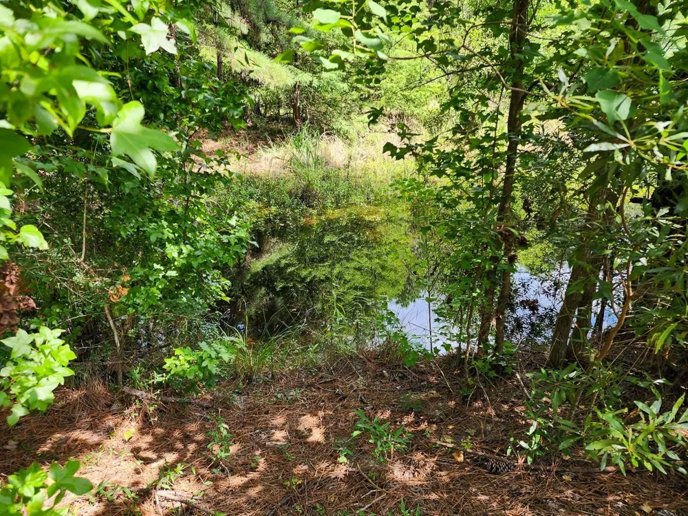 216 Private Road 6046 Burkeville, TX 75932