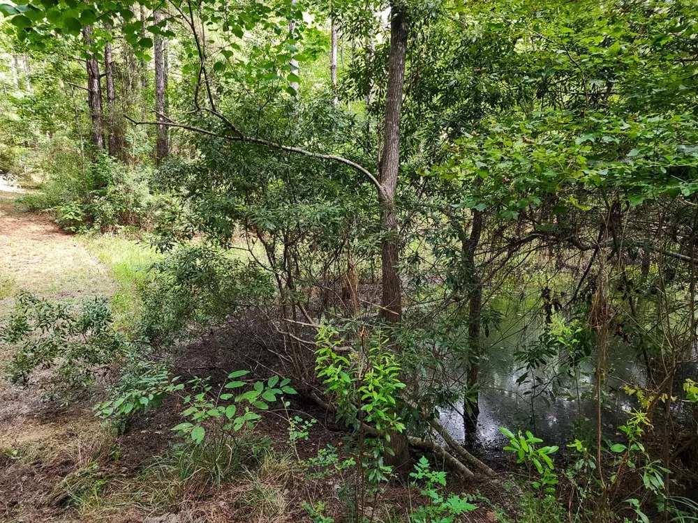 216 Private Road 6046 Burkeville, TX 75932
