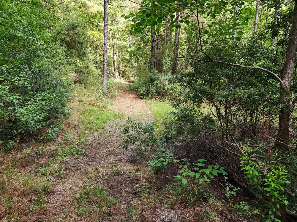 216 Private Road 6046 Burkeville, TX 75932