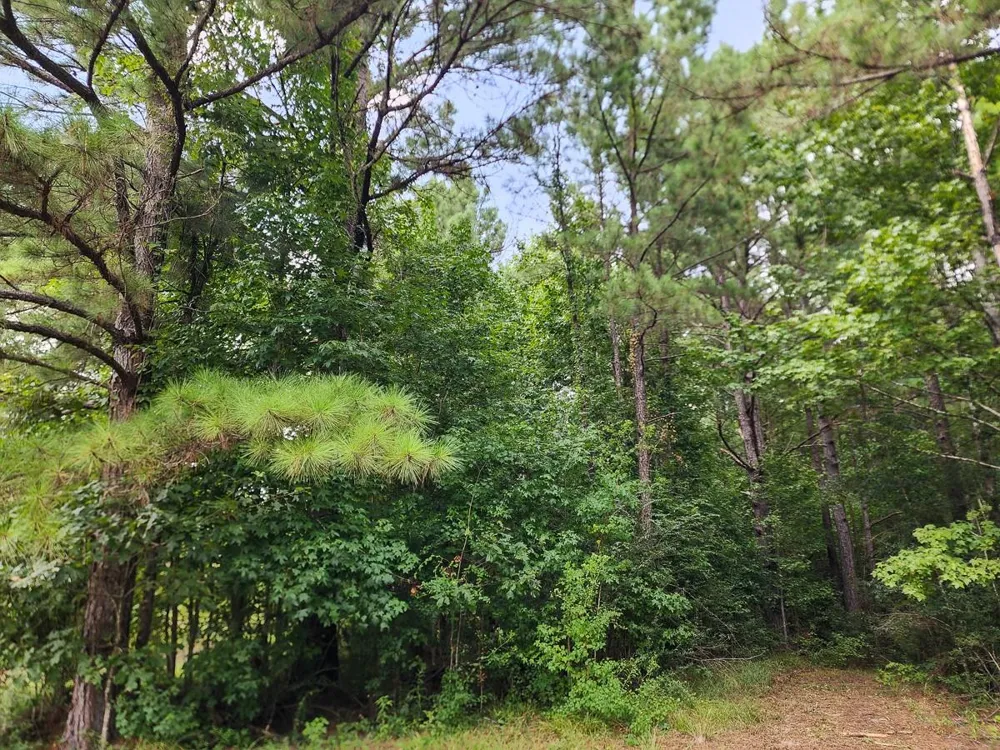 216 Private Road 6046 Burkeville, TX 75932