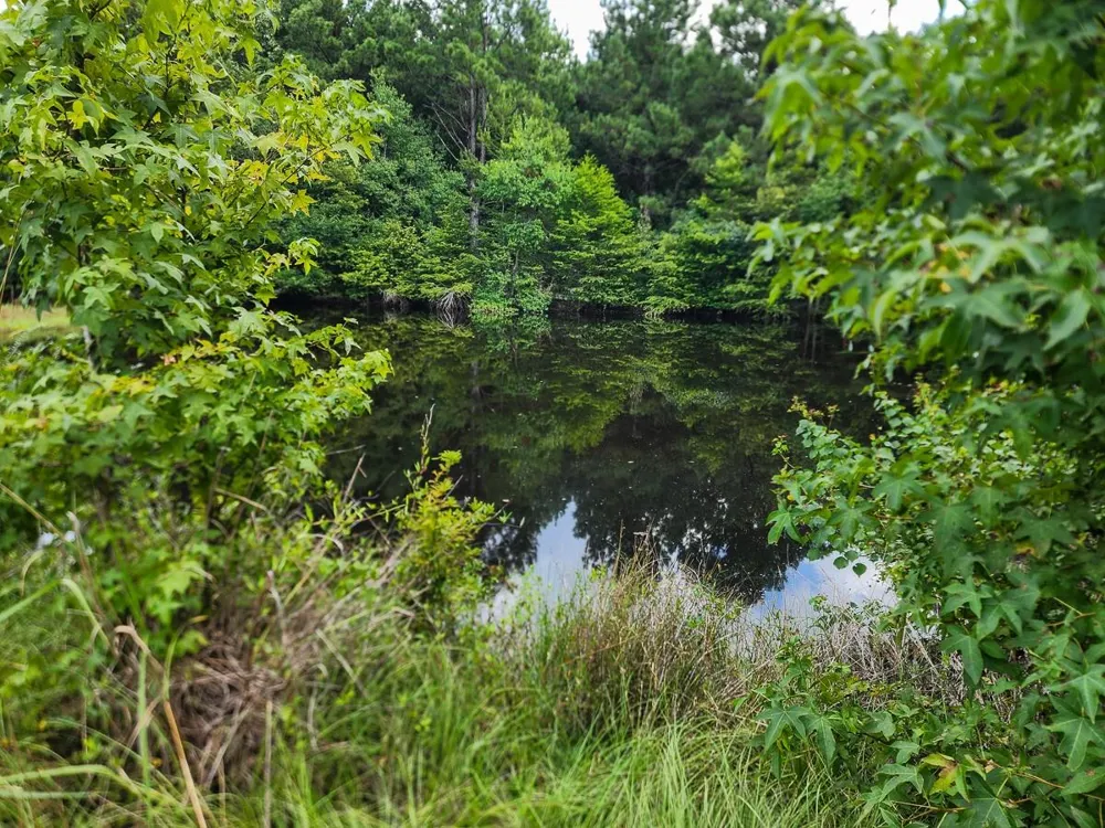 216 Private Road 6046 Burkeville, TX 75932
