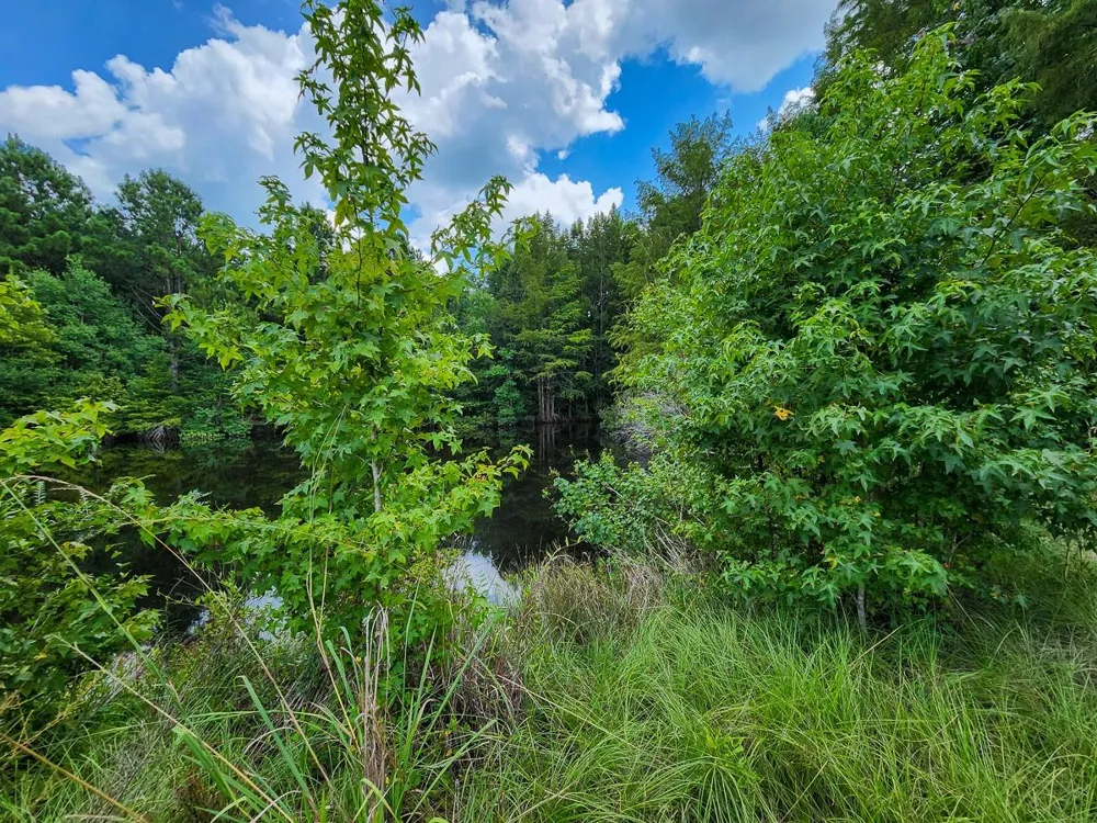 216 Private Road 6046 Burkeville, TX 75932
