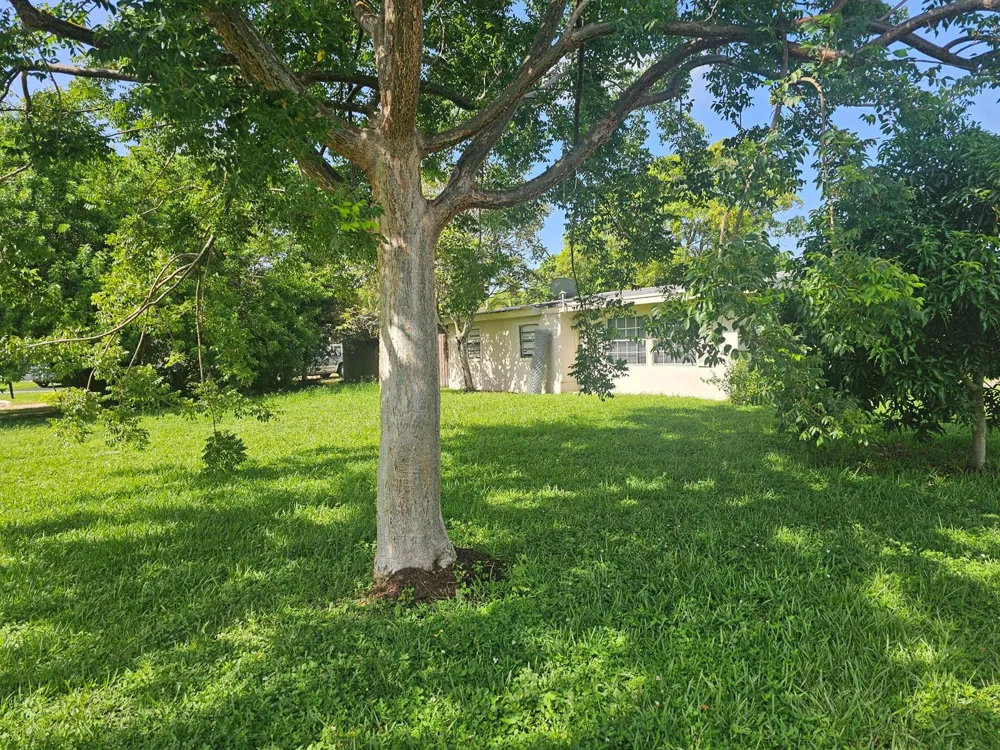 6134 HOGAN CREEK ROAD Margate, FL 33063