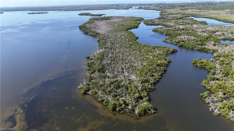 INDIAN FIELD KEY + ISLAND 1