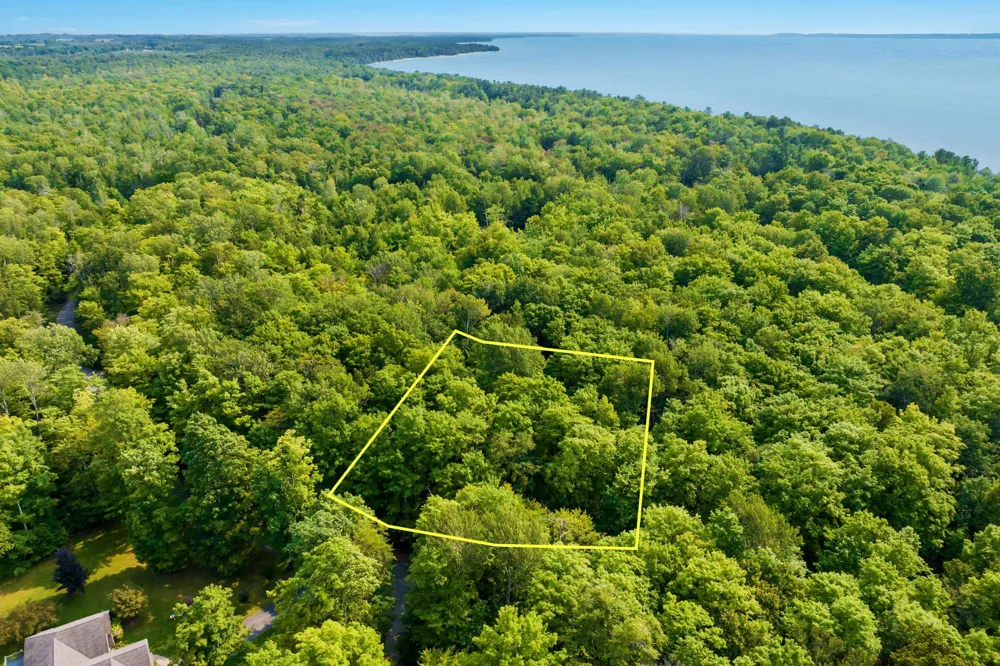 Aspen Trail Torch Lake Township, MI 49648