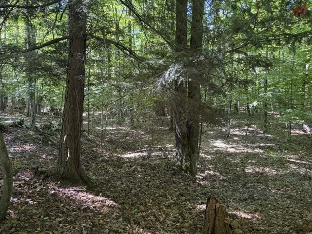 Aspen Trail Torch Lake Township, MI 49648