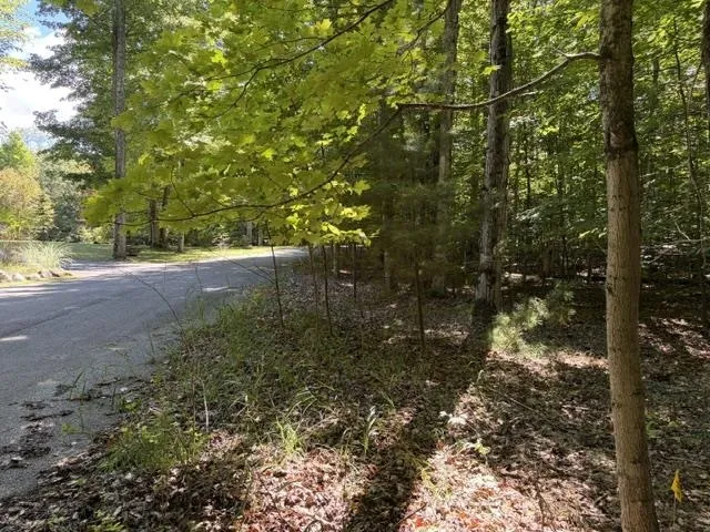 Aspen Trail Torch Lake Township, MI 49648