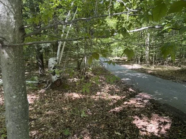 Aspen Trail Torch Lake Township, MI 49648