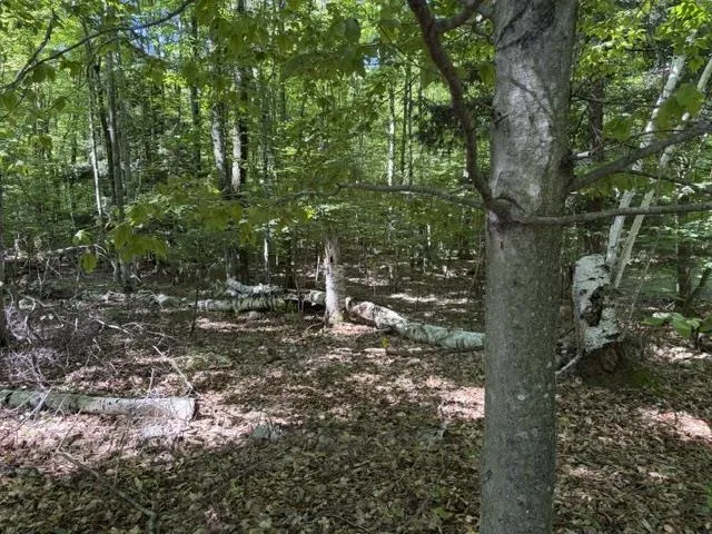 Aspen Trail Torch Lake Township, MI 49648