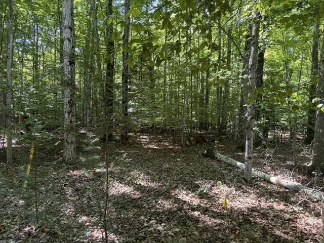 Aspen Trail Torch Lake Township, MI 49648