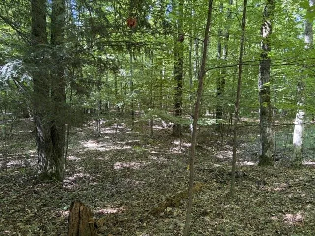 Aspen Trail Torch Lake Township, MI 49648