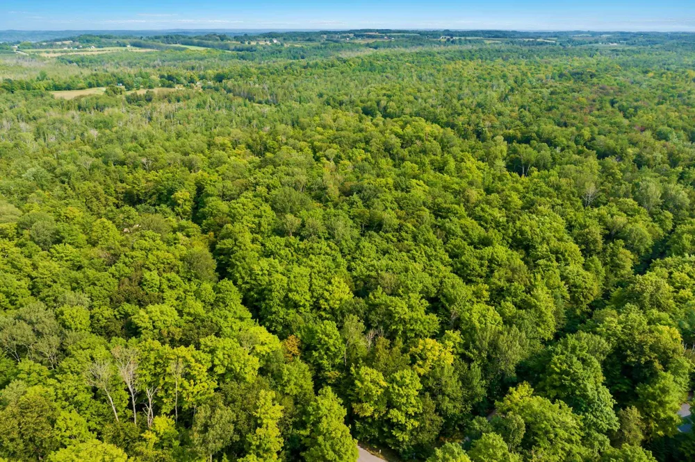 Aspen Trail Torch Lake Township, MI 49648