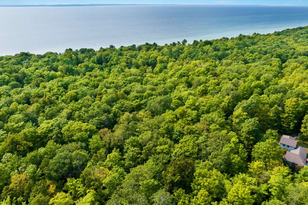 Aspen Trail Torch Lake Township, MI 49648