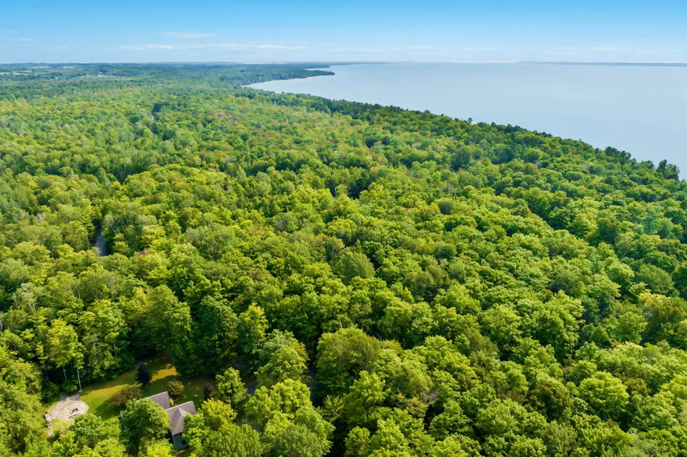 Aspen Trail Torch Lake Township, MI 49648