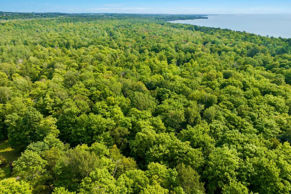 Aspen Trail Torch Lake Township, MI 49648