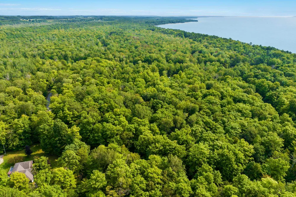 Aspen Trail Torch Lake Township, MI 49648