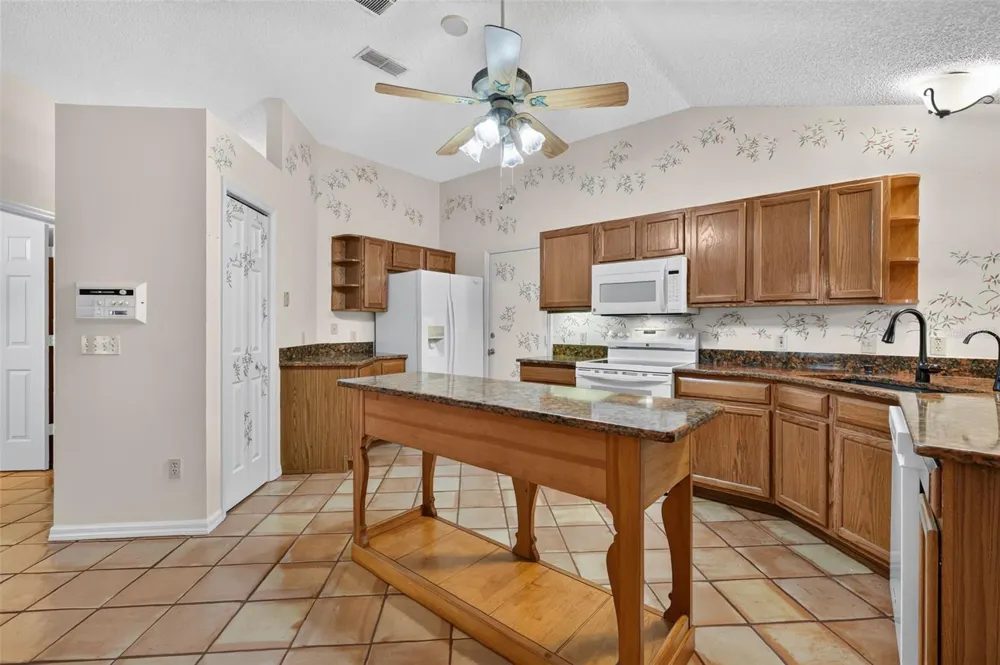 1519 MARTINEZ DRIVE The Villages, FL 32159